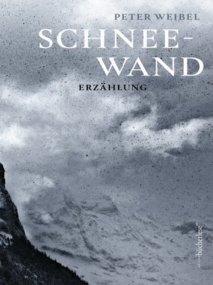cover image of Schneewand